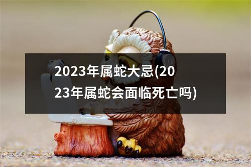 2023年属蛇大忌(2023年属蛇会面临死亡吗)