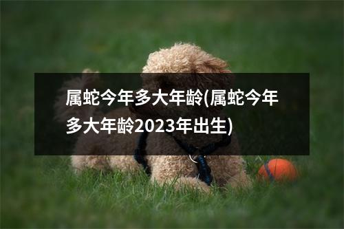 属蛇今年多大年龄(属蛇今年多大年龄2023年出生)