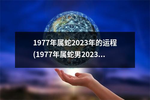 1977年属蛇2023年的运程(1977年属蛇男2023年全年运势)