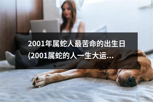 2001年属蛇人苦命的出生日(2001属蛇的人一生大运年)