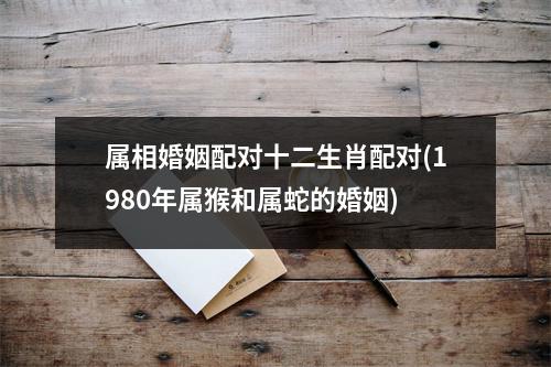 属相婚姻配对十二生肖配对(1980年属猴和属蛇的婚姻)