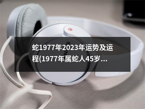 蛇1977年2023年运势及运程(1977年属蛇人45岁到49岁运程)