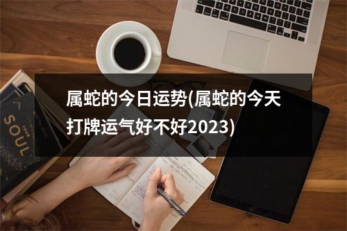 属蛇的今日运势(属蛇的今天打牌运气好不好2023)