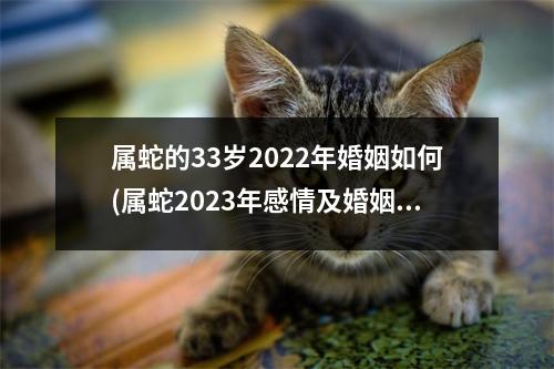 属蛇的33岁2022年婚姻如何(属蛇2023年感情及婚姻)