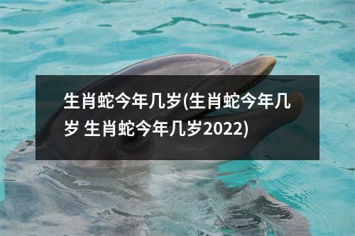 生肖蛇今年几岁(生肖蛇今年几岁 生肖蛇今年几岁2022)