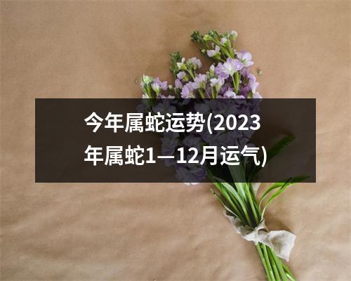 今年属蛇运势(2023年属蛇1—12月运气)