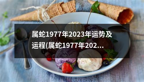 属蛇1977年2023年运势及运程(属蛇1977年2023年的运势)