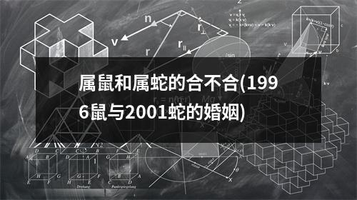 属鼠和属蛇的合不合(1996鼠与2001蛇的婚姻)