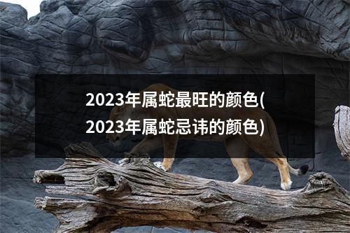 2023年属蛇旺的颜色(2023年属蛇忌讳的颜色)