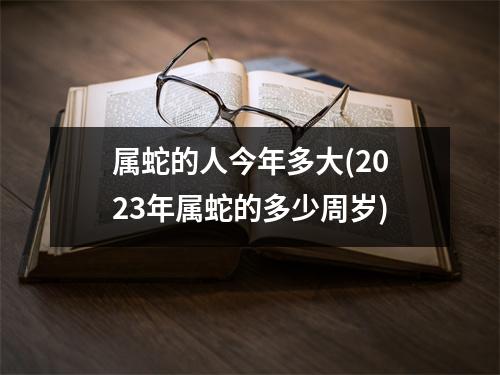 属蛇的人今年多大(2023年属蛇的多少周岁)