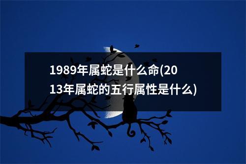 1989年属蛇是什么命(2013年属蛇的五行属性是什么)