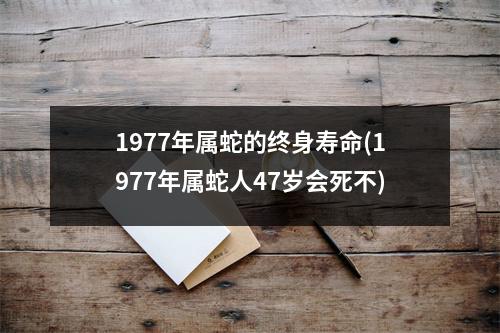 1977年属蛇的终身寿命(1977年属蛇人47岁会死不)