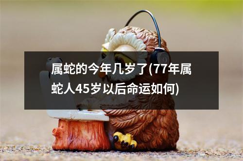 属蛇的今年几岁了(77年属蛇人45岁以后命运如何)