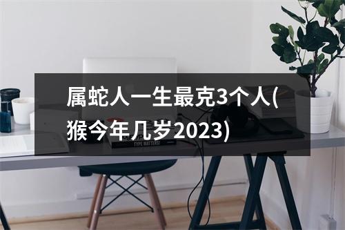 属蛇人一生克3个人(猴今年几岁2023)