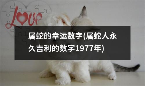 属蛇的幸运数字(属蛇人永久吉利的数字1977年)