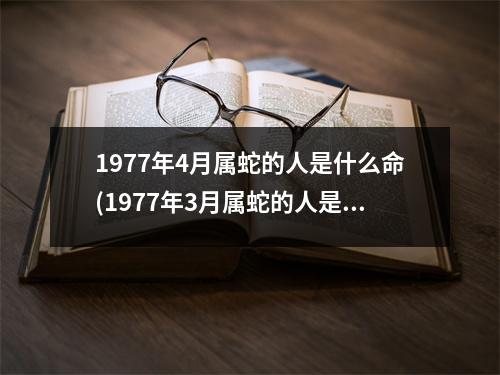 1977年4月属蛇的人是什么命(1977年3月属蛇的人是什么命)