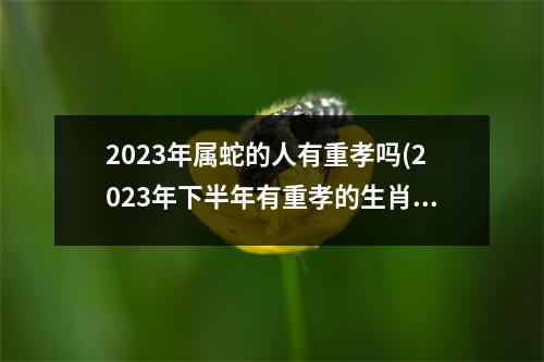 2023年属蛇的人有重孝吗(2023年下半年有重孝的生肖)