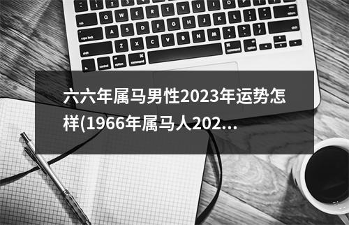 六六年属马男性2023年运势怎样(1966年属马人2023年运势运程男)