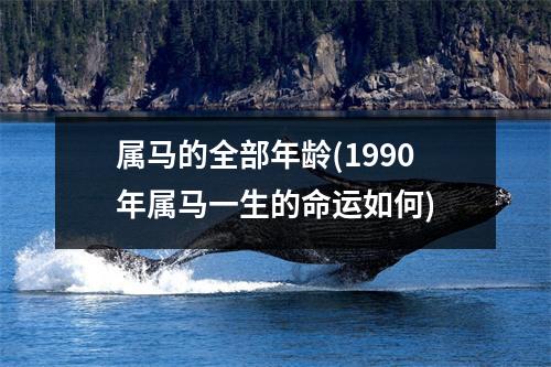 属马的全部年龄(1990年属马一生的命运如何)