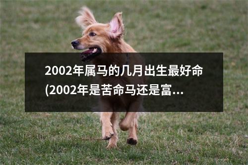 2002年属马的几月出生好命(2002年是苦命马还是富马)