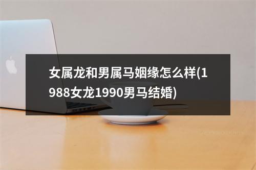 女属龙和男属马姻缘怎么样(1988女龙1990男马结婚)