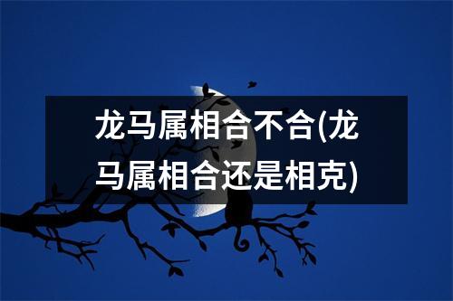 龙马属相合不合(龙马属相合还是相克)