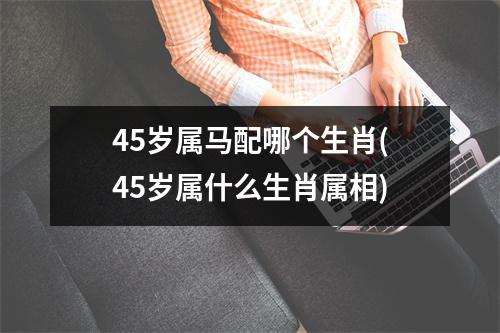 45岁属马配哪个生肖(45岁属什么生肖属相)