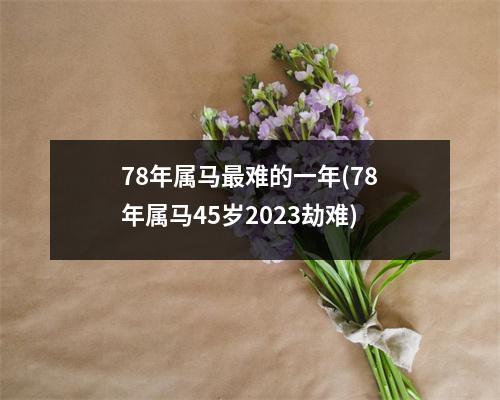 78年属马难的一年(78年属马45岁2023劫难)