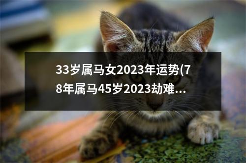 33岁属马女2023年运势(78年属马45岁2023劫难)