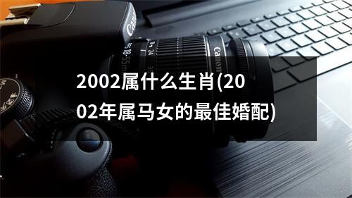 2002属什么生肖(2002年属马女的佳婚配)