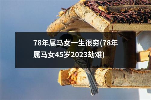 78年属马女一生很穷(78年属马女45岁2023劫难)