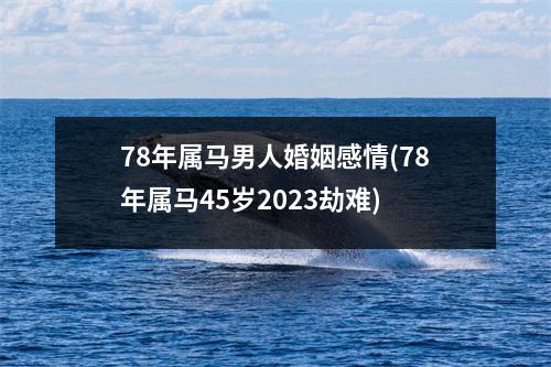 78年属马男人婚姻感情(78年属马45岁2023劫难)