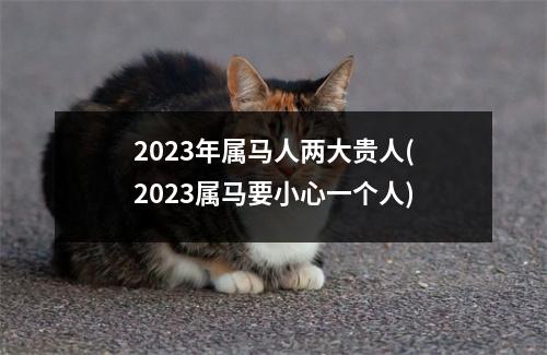 2023年属马人两大贵人(2023属马要小心一个人)