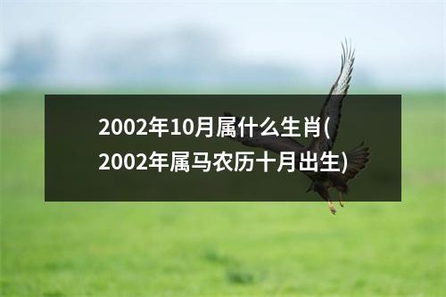 2002年10月属什么生肖(2002年属马农历十月出生)