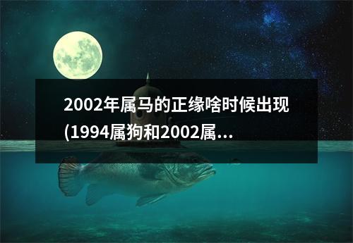 2002年属马的正缘啥时候出现(1994属狗和2002属马合不合)