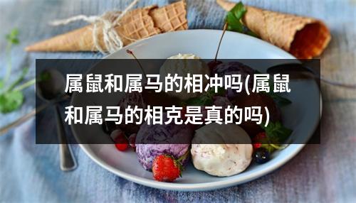 属鼠和属马的相冲吗(属鼠和属马的相克是真的吗)