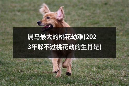 属马大的桃花劫难(2023年躲不过桃花劫的生肖是)