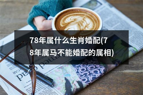 78年属什么生肖婚配(78年属马不能婚配的属相)