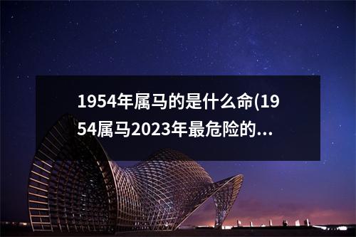 1954年属马的是什么命(1954属马2023年危险的一个月)