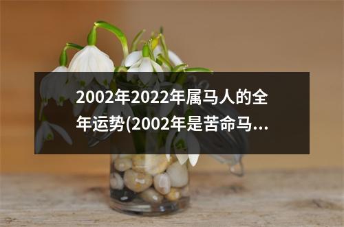 2002年2022年属马人的全年运势(2002年是苦命马还是富马)