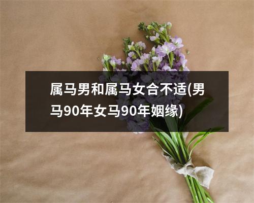 属马男和属马女合不适(男马90年女马90年姻缘)