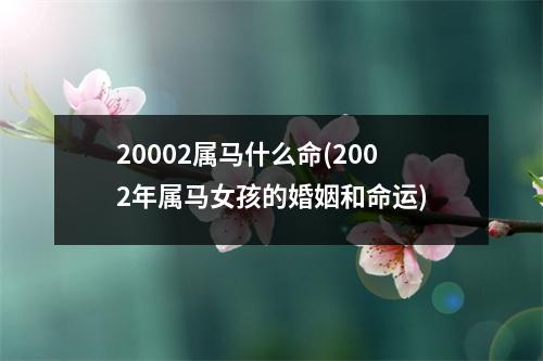 20002属马什么命(2002年属马女孩的婚姻和命运)