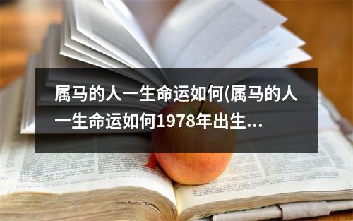 属马的人一生命运如何(属马的人一生命运如何1978年出生)