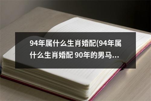 94年属什么生肖婚配(94年属什么生肖婚配 90年的男马和94年的女狗婚配如何)