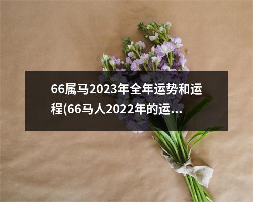 66属马2023年全年运势和运程(66马人2022年的运势66年属马人2021年运势)