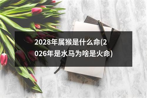 2028年属猴是什么命(2026年是水马为啥是火命)