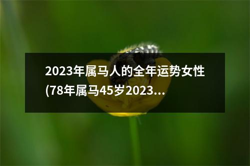 2023年属马人的全年运势女性(78年属马45岁2023劫难)