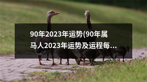 90年2023年运势(90年属马人2023年运势及运程每月运程)