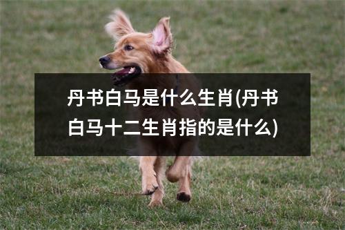 丹书白马是什么生肖(丹书白马十二生肖指的是什么)