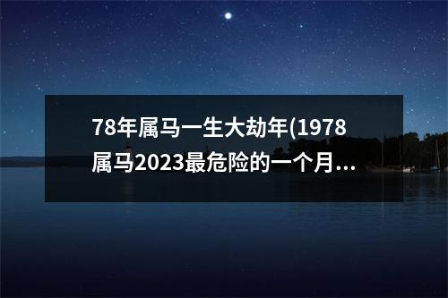 78年属马一生大劫年(1978属马2023危险的一个月)